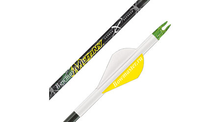 купите Карбоновые стрелы для лука Carbon Express Mutiny 250 и 350 в Москве
